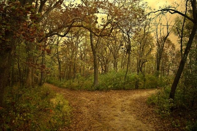 6280078972_18e71fcb9a_z