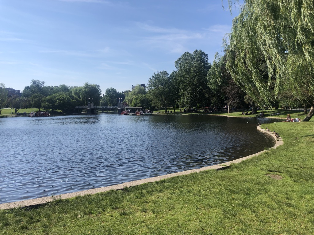 UNADJUSTEDNONRAW_thumb_1408