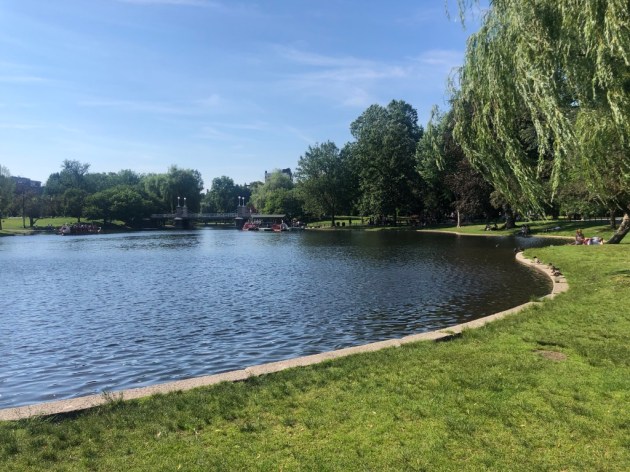 UNADJUSTEDNONRAW_thumb_1408