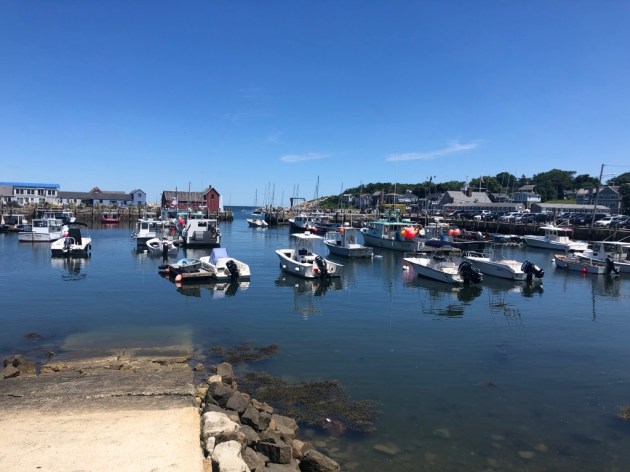 UNADJUSTEDNONRAW_thumb_1431