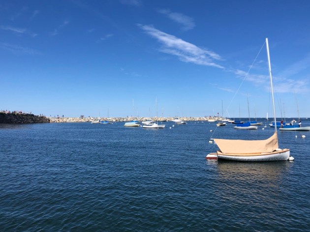 UNADJUSTEDNONRAW_thumb_1437